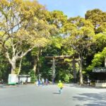 Torii gate