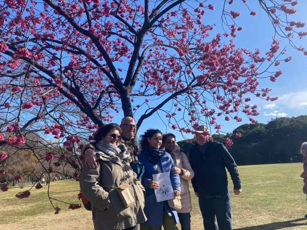 A small group tour under the cherry blossoms at the Imperial Palace in Tokyo.